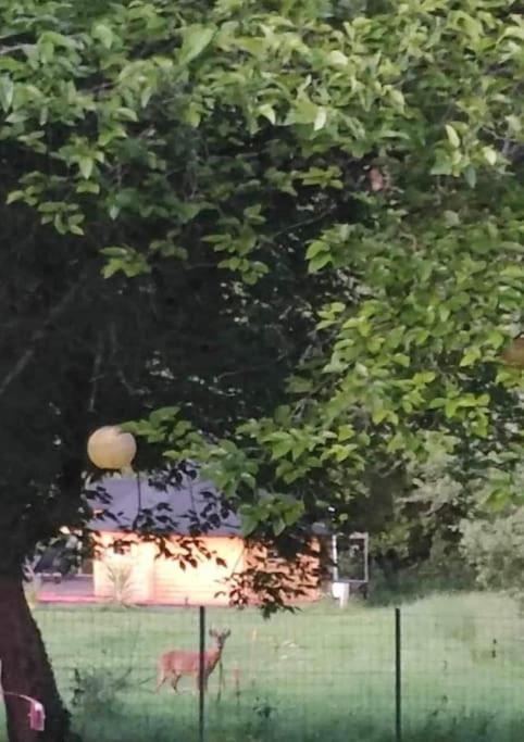 Insolite Kota Avec Spa Et Demi Bt De Champagne Offerte Ruch Exterior foto